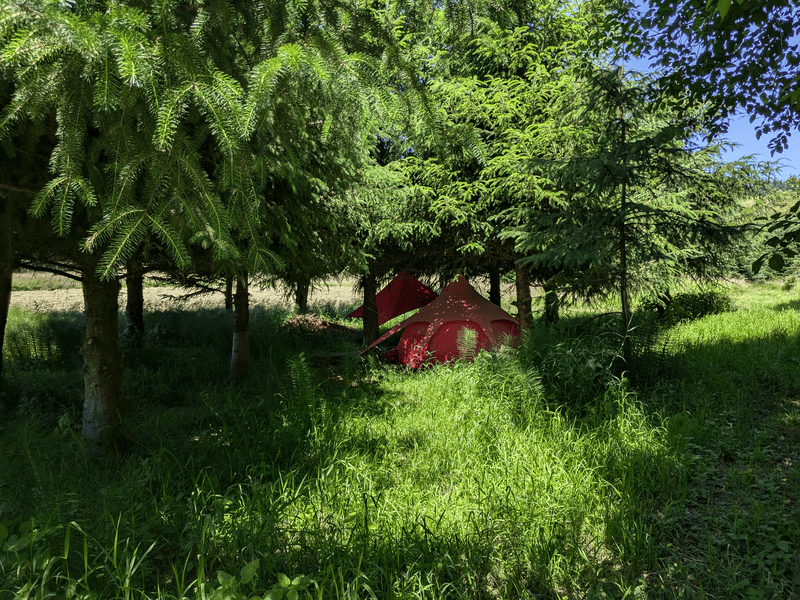 Campground Image