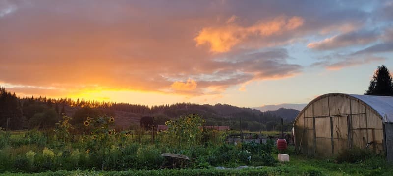 A garden sunset at Elkenmist